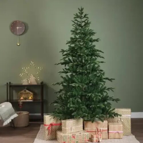  Balsamea Fir 240cm Everlands 68.4472 Cene