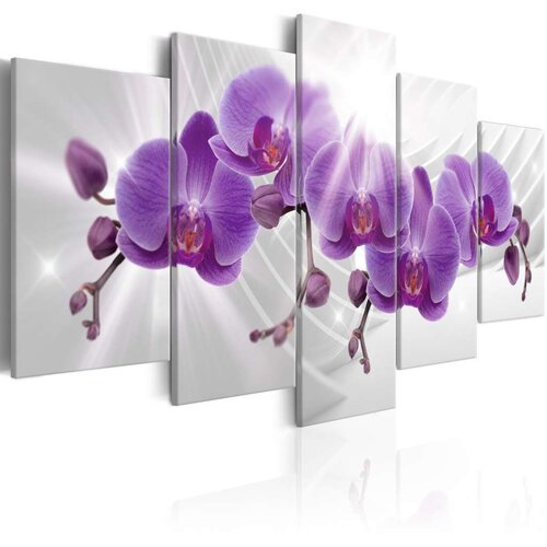  Slika - Abstract Garden: Purple Orchis 100x50 Slike