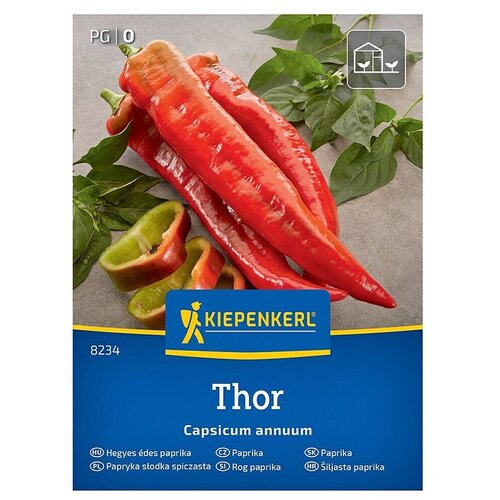 KIEPENKERL Zelenjavna semena Paprika Thor F1 (Capsicum annuum, Čas žetve: Avgust) Cene