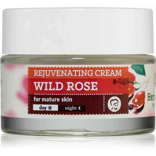 Farmona Herbal Care Wild Rose učvrstitvena krema proti gubam 50 ml
