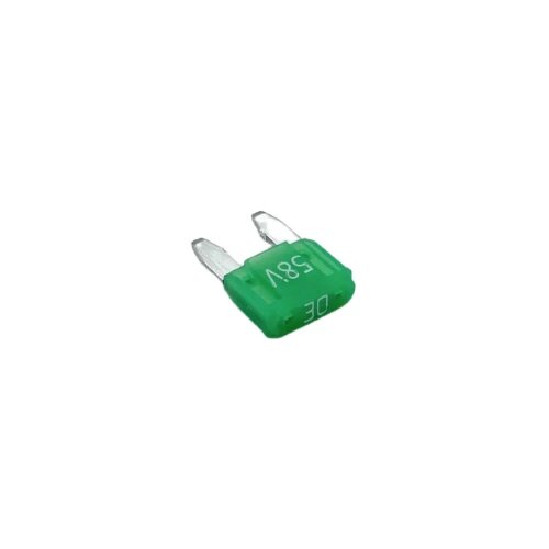 Hansor ASP-M30 mini plosnati osigurač 30 A zelena 1 St. Cijene