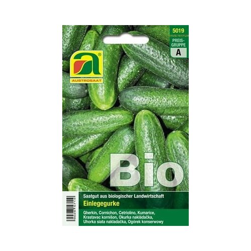 BIO kumare za vlaganje "Vert petit de Paris" Cene