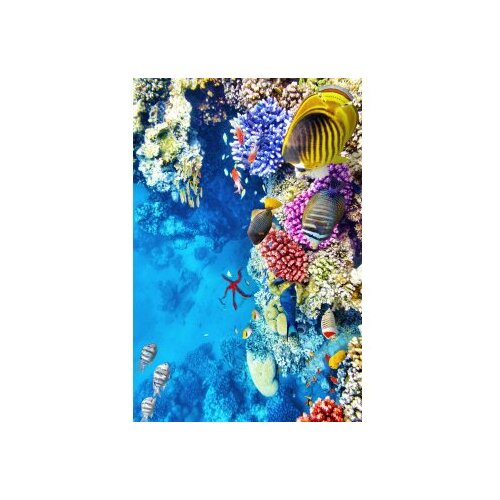 Conceptum Hypnose tepih Wookece166 (60 x 100cm) Slike