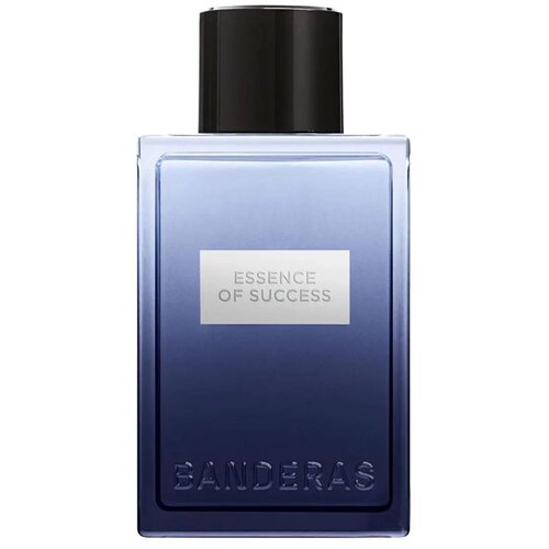 Antonio Banderas Essence of Success Eau de Toilette 100 ml Slike
