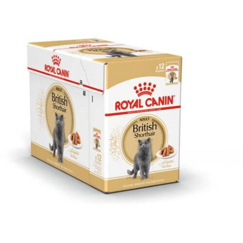 Royal Canin British Shorthair Adult - omaka 12 x 85 g Cene