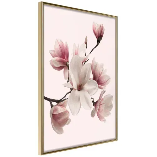  Poster - Blooming Magnolias I 20x30
