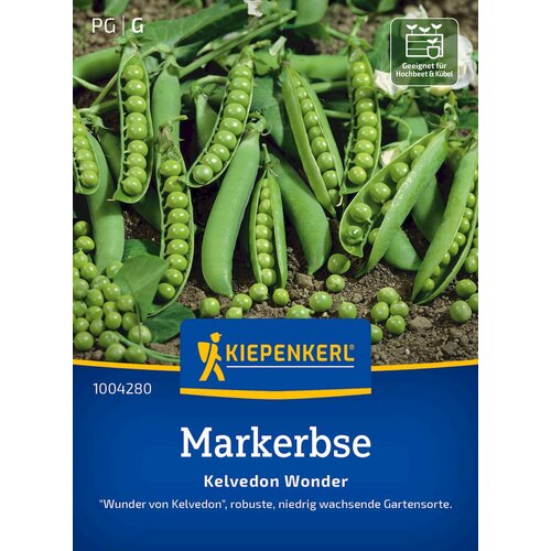 KIEPENKERL Grah "Kelvedon Wonder". - 1 pkt. Cene