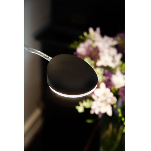 Halo Design 716067- led prigu&amp;scaron;iva podna lampa vegas LED/20W/230V + LED/5W crna/hrom Slike