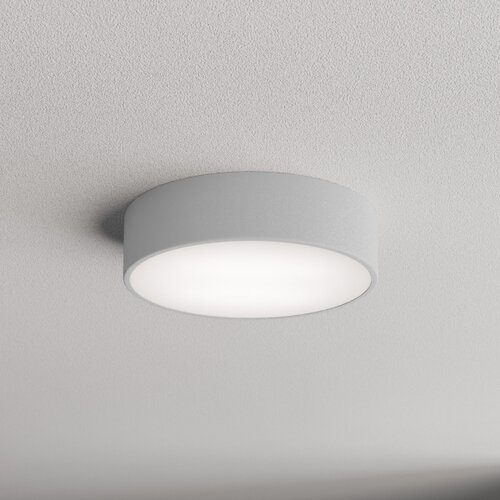  Plafonsko svetlo za kupatilo CLEO 2xE27/24W/230V, prečnik 30 cm, siva, IP54 Slike