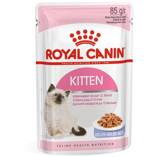 Royal Canin vlažna hrana za mačiće Kitten in Jelly 12x85g Cene