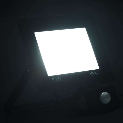 VidaXL LED reflektor s senzorjem 50 W hladno bel Slike