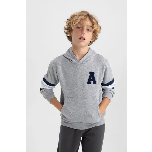 Defacto Boy's Hooded Thick Sweatshirt