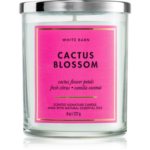 Bath & Body Works Cactus Blossom dišeča sveča 227 g Cene