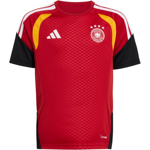 Adidas Funkcionalna majica &amp;#039;DFB TR JSYY&amp;#039; rdeča Slike