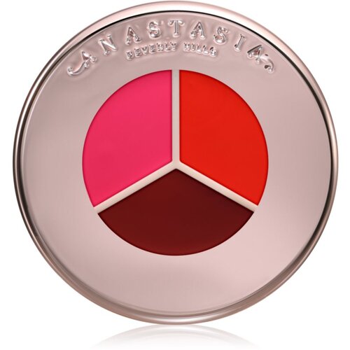 Anastasia Beverly Hills Magic Touch Blush Trio trio rdečilo z gelasto teksturo odtenek Berry/Rose Trio 3 g Cene