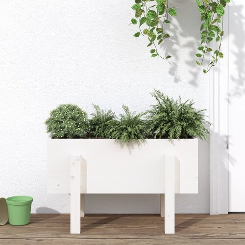 vidaXL Vrtna sadilica bijela 62 x 30 x 38 cm od masivne borovine Cijene