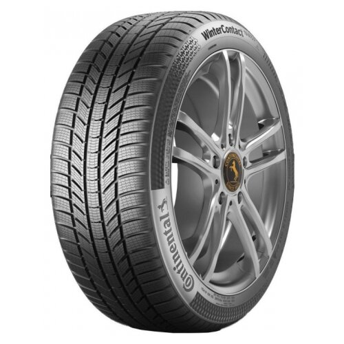 Continental WinterContact TS 870 P ( 225/60 R17 99H EVc ) Cijene