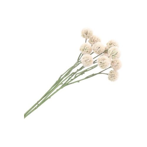 Dekordom Cvet blomi 65cm - ecru - hml ( 039097 ) Slike