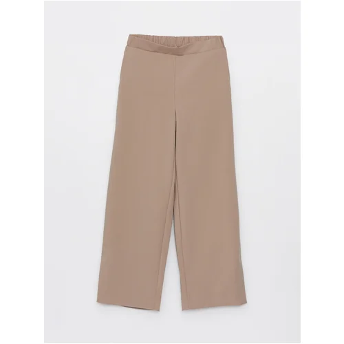 LC Waikiki Elastic Waist, Comfortable Fit Women's Trousers.