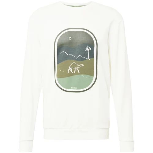 Shiwi Sweater majica 'Sahara' kaki / maslinasta / pastelno zelena / tamno zelena / bijela