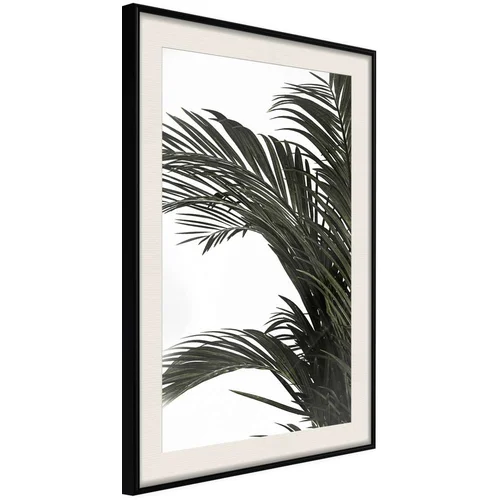  Poster - Jungle Scent 20x30