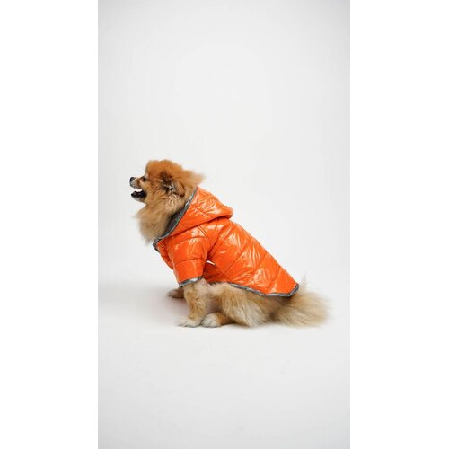 Paws &amp;amp; Whiskers Odelo za pse Moncler, Narandžasto Slike