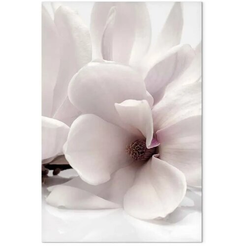  Slika - Blooming Light (1 Part) Vertical 60x90 Slike
