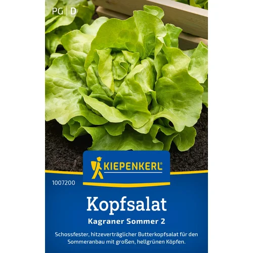 KIEPENKERL Glavnata solata Kagraner Sommer 2 - 1 pkt.