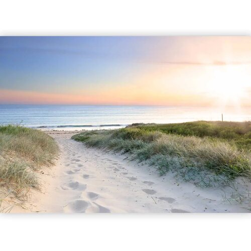  Foto tapeta - Morning walk on the beach 441x315 Samoljepljiva Cene