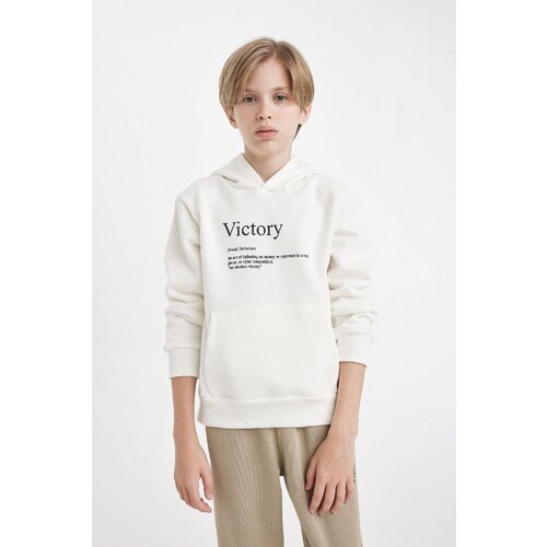 Defacto Boy New Hooded Thick Sweatshirt Slike