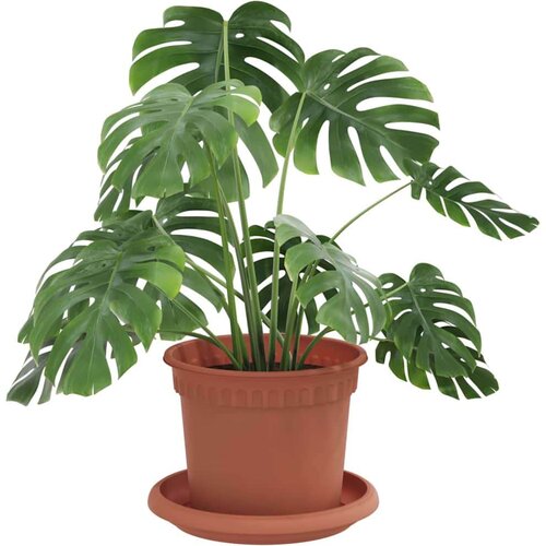 vidaXL Saksije za biljke 6 pcs Crvena cigla &Oslash; 12 5 x 10 cm Plastika - Crvena cigla &Oslash; 12 5 x 10 cm 6 Cijene