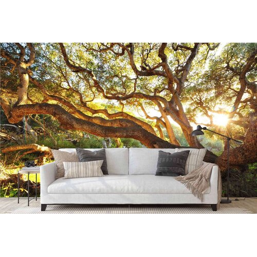 Wallity Tapete za zid MDK-00116, 300x270 cm, &amp;Scaron;arena Slike