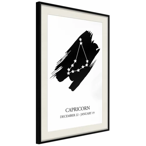  Poster - Zodiac: Capricorn I 30x45