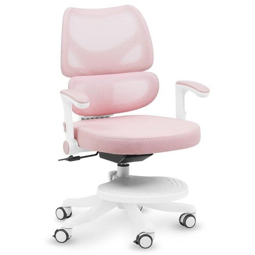  Dječja okretna stolica Junior 5.3 Pink Cijene