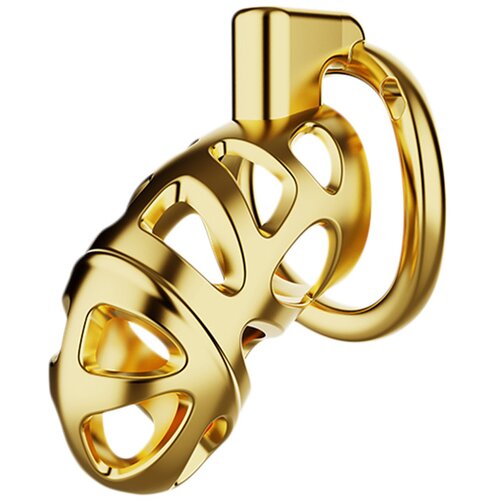 SuperLove Savage Chastity Cage Set Gold Slike