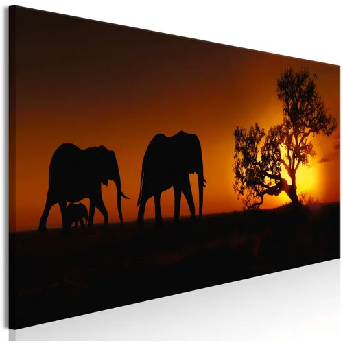  Slika - Elephant Family (Orange) 120x40