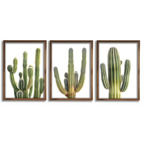 Wallity slika GE275, 3 dela, 35 x 47 cm Slike