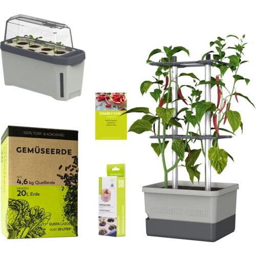Gusta Garden CHARLY CHILI Starter Set - svetlo siva Slike