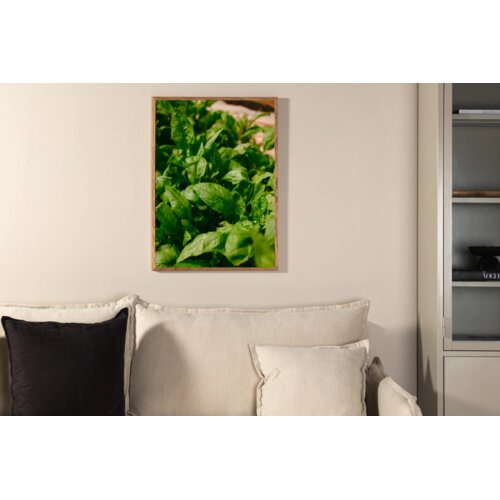 Venture Home poster Green Leaf 21 &times; 30 cm, zeleni Cijene
