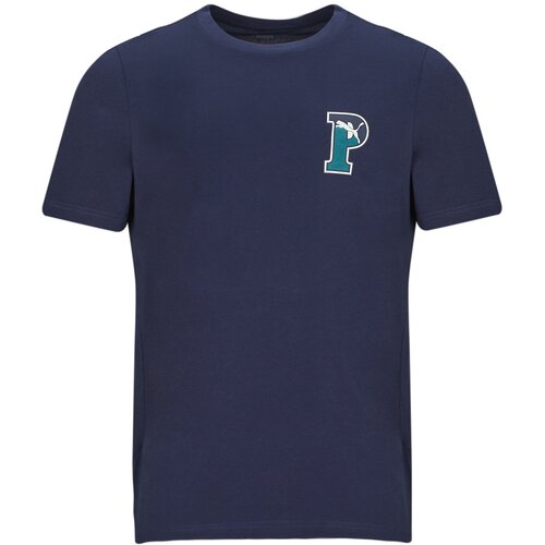 Puma SQUAD BADGE TEE sarena Cijene