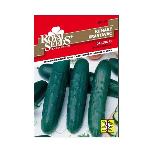 ROYAL SEEDS Sjeme povrća 144 KRASTAVAC DARINA F1 Cijene