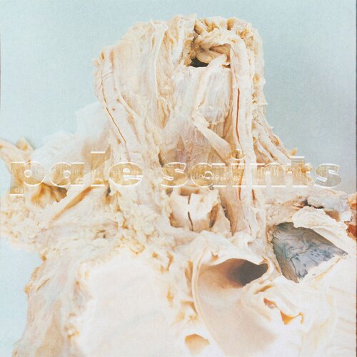  Pale Saints - In Ribbons Cene