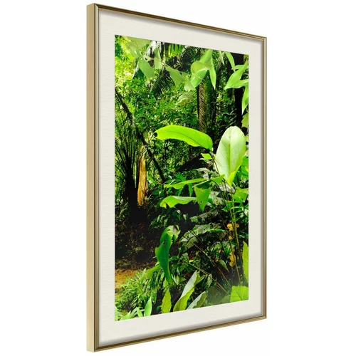  Poster - In the Rainforest 20x30