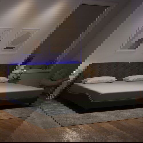 vidaXL Okvir kreveta s LED svjetlima svijetlosivi 200x200cm baršunasti Cijene