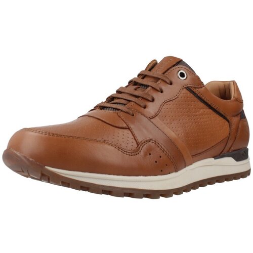 Kangaroos K843 Smeđa Cijene