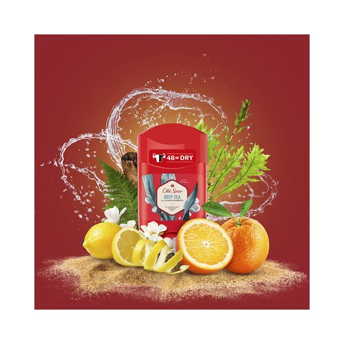 Old Spice Deep Sea trdi dezodorant 50 ml Cene