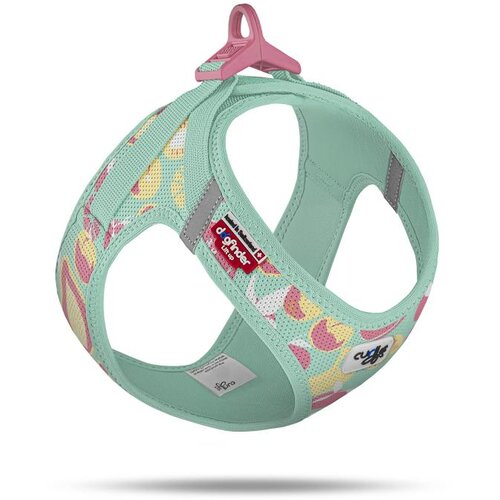 Curli oprsnica za pse Air-Mesh Juicy Fruits, tirkizna Slike