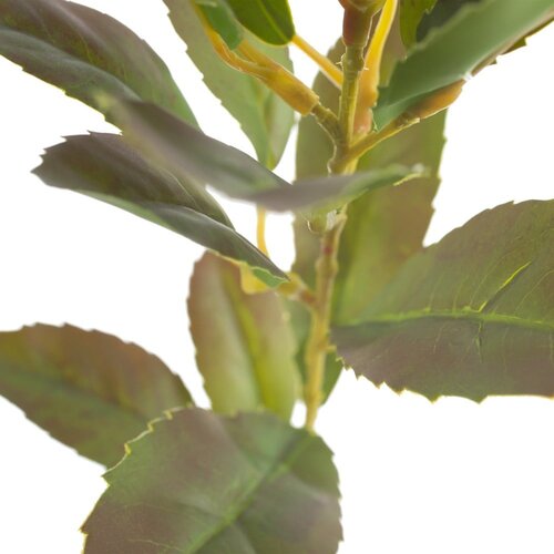 Ixia Umetna vejica (vi&amp;scaron;ina 37 cm) Lemon Tree &amp;ndash; Slike