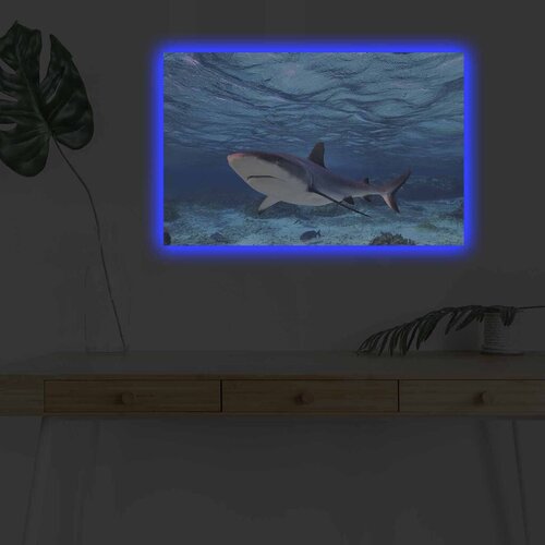 Wallity Slika sa LED osvetljenjem 4570DHDACT-030, 45x70 cm Cene