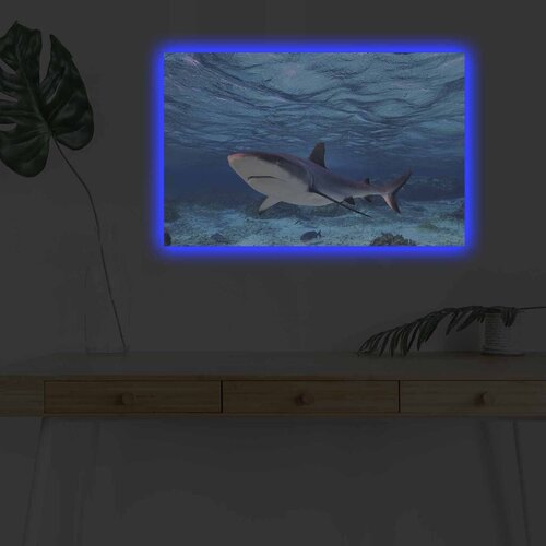 Wallity Zidna slika sa LED osvetljenjem 4570DHDACT-030, 45x70 cm Cijene